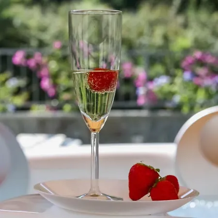 Luxury Summer House 别墅 *