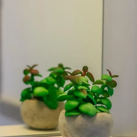 别墅 Luxury Summer House *